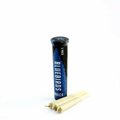 Kosher Tangie 3pk Preroll