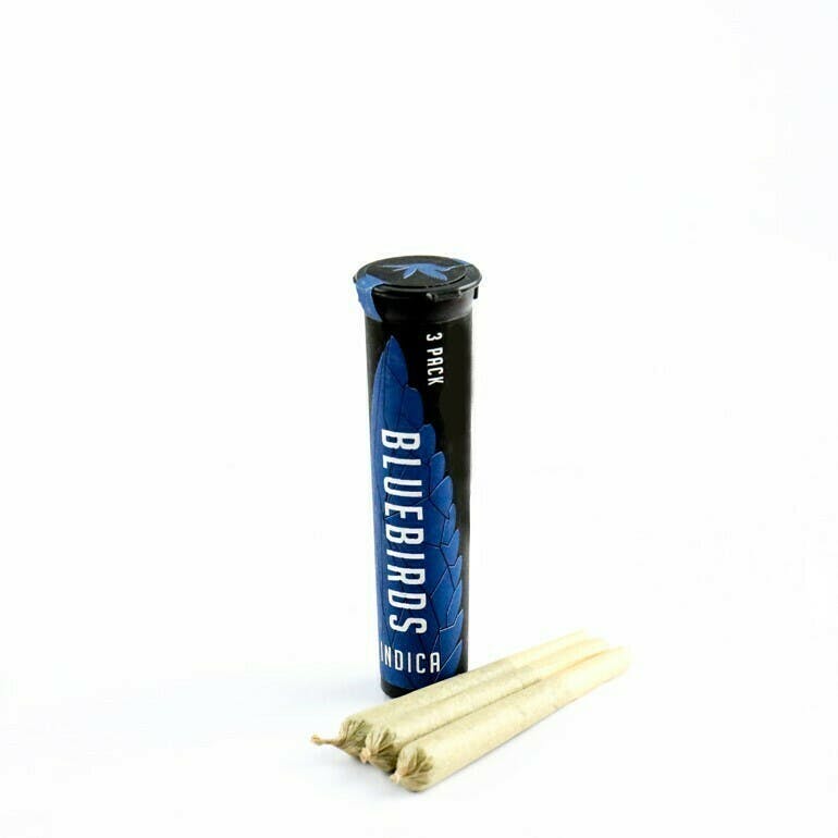 Kosher Tangie 3pk Preroll