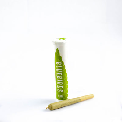 Medi-Haze Single Preroll