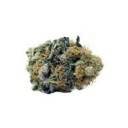 Durban Cookies | Hybrid