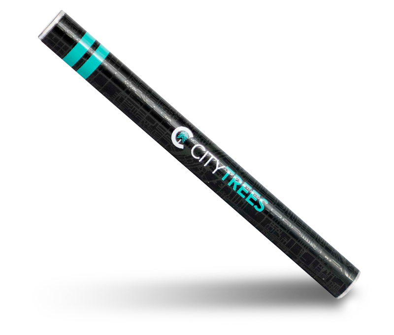 Energy Disposable Vape Pen