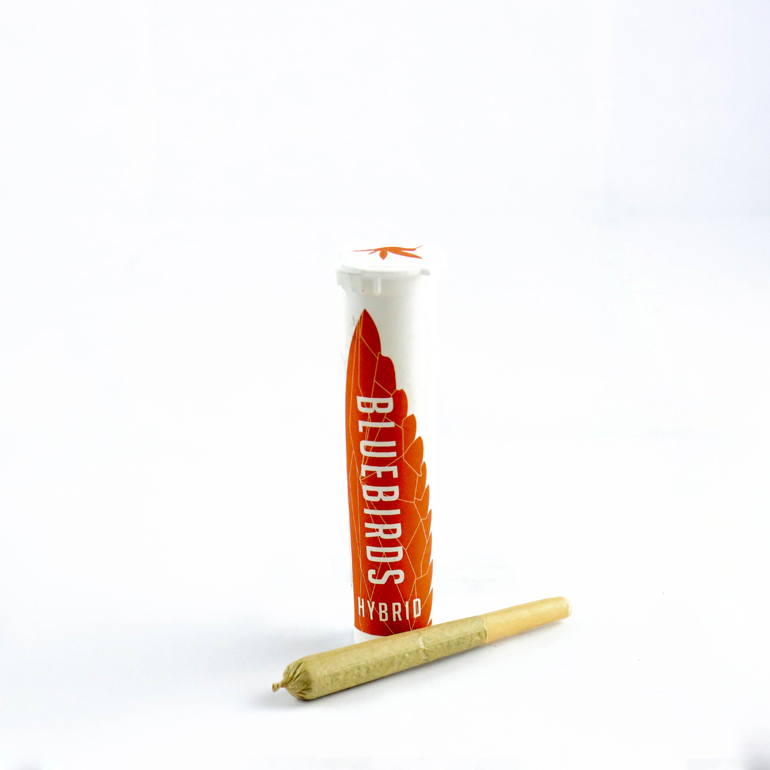 Member Berry Single Preroll