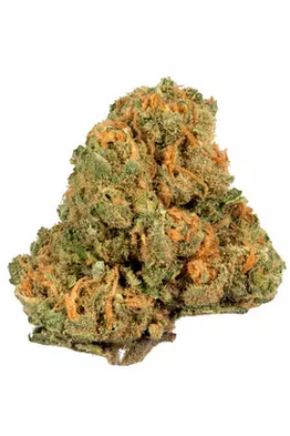 Jack Herer | Sativa