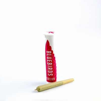 Gorilla Goo Single Preroll