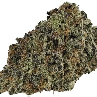 Bisti Badlands | Indica