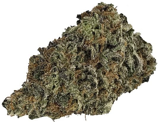 Bisti Badlands | Indica