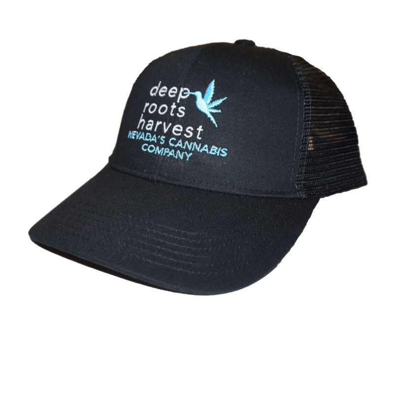 DRH Mesh Logo Hat